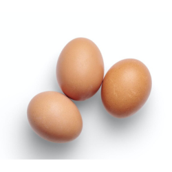 Eggs